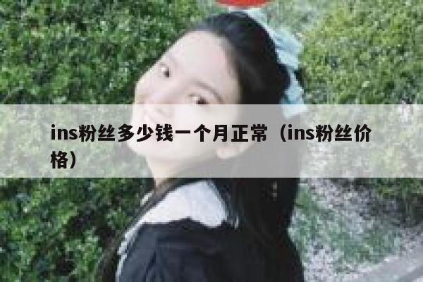 ins粉丝多少钱一个月正常（ins粉丝价格） 第1张