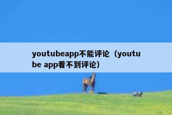 youtubeapp不能评论（youtube app看不到评论） 第1张