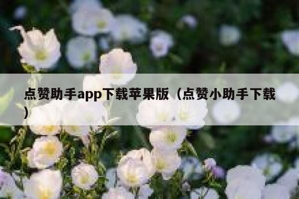 点赞助手app下载苹果版（点赞小助手下载） 第1张