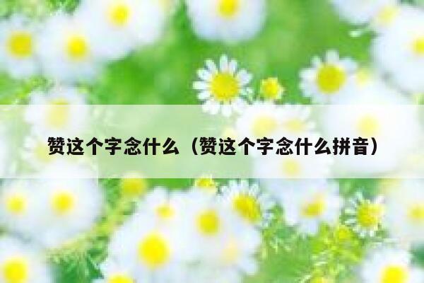 赞这个字念什么（赞这个字念什么拼音） 第1张