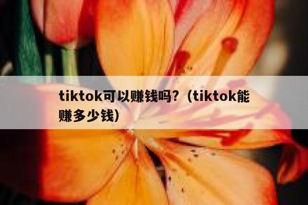 tiktok可以赚钱吗?（tiktok能赚多少钱） 第1张