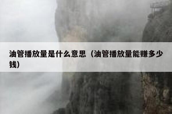 油管播放量是什么意思（油管播放量能赚多少钱） 第1张