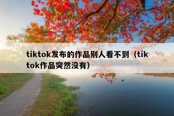 tiktok发布的作品别人看不到（tiktok作品突然没有） 第1张