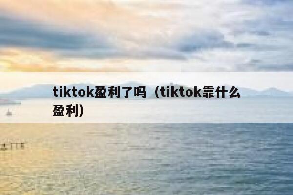 tiktok盈利了吗（tiktok靠什么盈利） 第1张