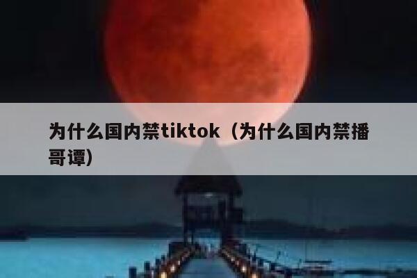 为什么国内禁tiktok（为什么国内禁播哥谭） 第1张