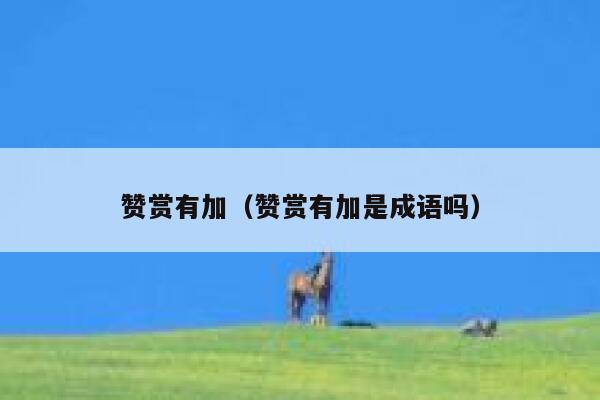 赞赏有加（赞赏有加是成语吗） 第1张