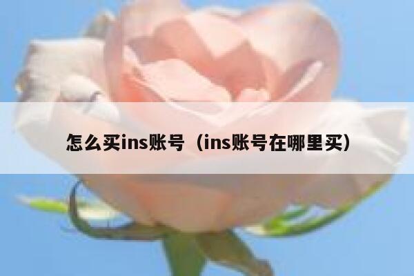 怎么买ins账号（ins账号在哪里买） 第1张