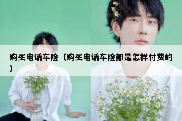 购买电话车险（购买电话车险都是怎样付费的） 第1张