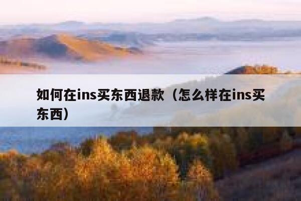如何在ins买东西退款（怎么样在ins买东西） 第1张