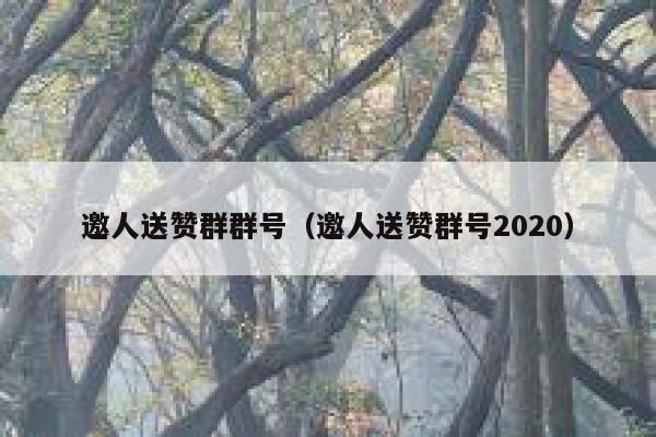 邀人送赞群群号（邀人送赞群号2020） 第1张
