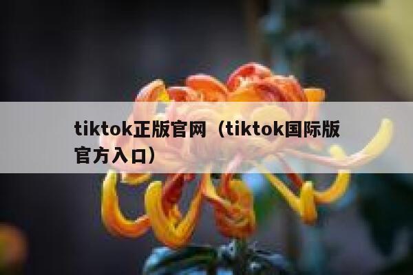 tiktok正版官网（tiktok国际版官方入口） 第1张