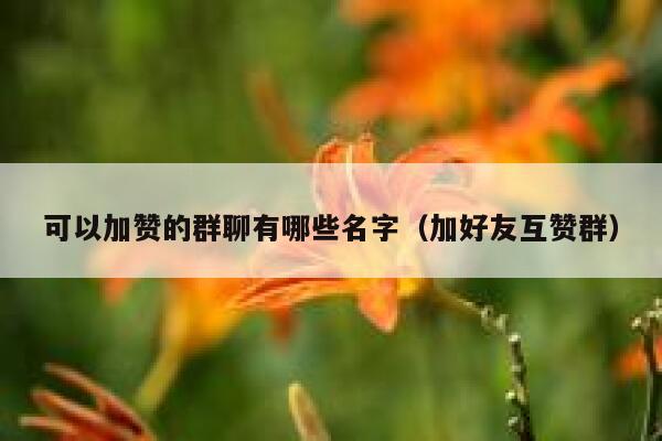 可以加赞的群聊有哪些名字（加好友互赞群） 第1张