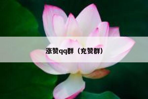 涨赞qq群（充赞群） 第1张