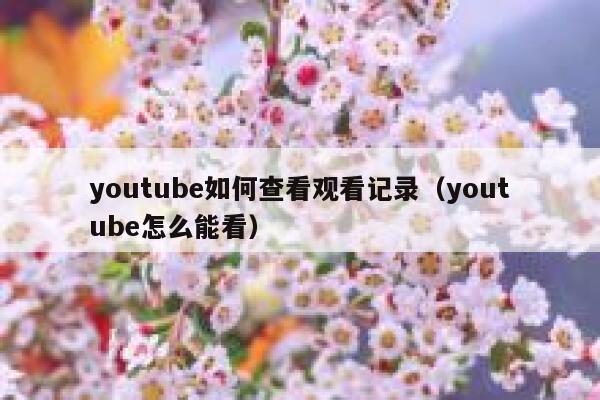 youtube如何查看观看记录（youtube怎么能看） 第1张