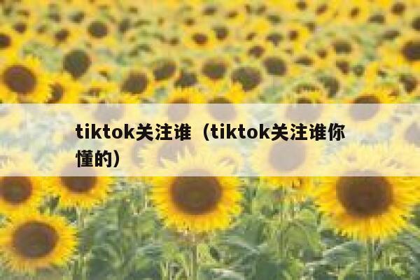 tiktok关注谁（tiktok关注谁你懂的） 第1张