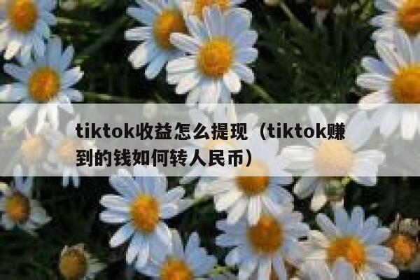 tiktok收益怎么提现（tiktok赚到的钱如何转人民币） 第1张