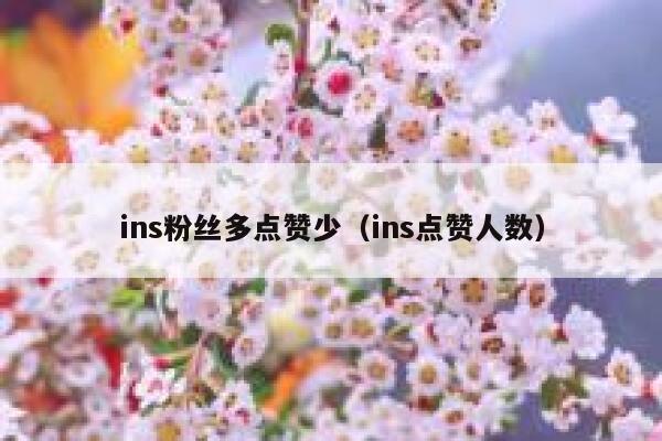 ins粉丝多点赞少（ins点赞人数） 第1张
