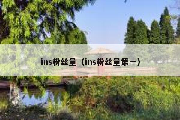 ins粉丝量（ins粉丝量第一） 第1张