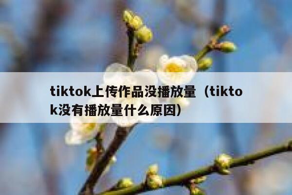 tiktok上传作品没播放量（tiktok没有播放量什么原因） 第1张
