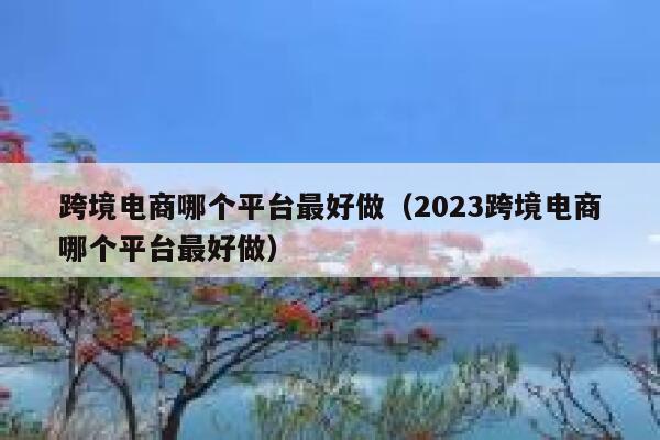 跨境电商哪个平台最好做（2023跨境电商哪个平台最好做） 第1张