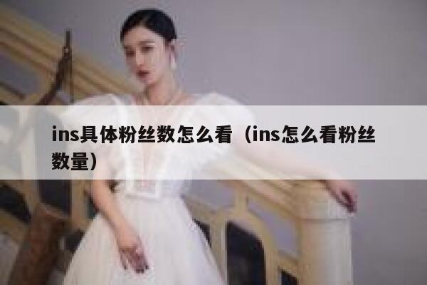 ins具体粉丝数怎么看（ins怎么看粉丝数量） 第1张