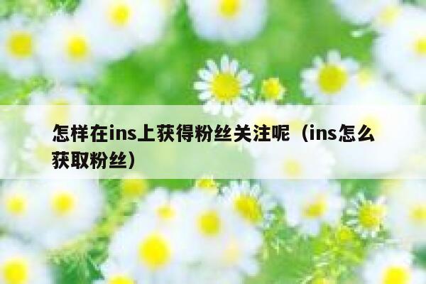 怎样在ins上获得粉丝关注呢（ins怎么获取粉丝） 第1张