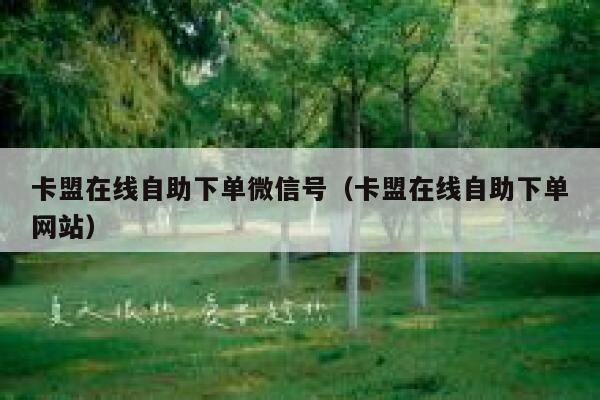 卡盟在线自助下单微信号（卡盟在线自助下单网站） 第1张