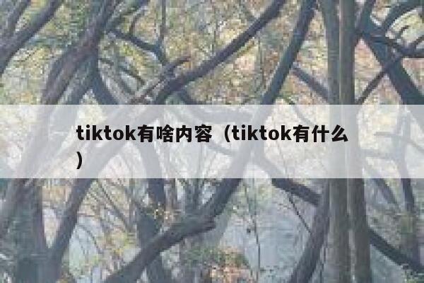 tiktok有啥内容（tiktok有什么） 第1张