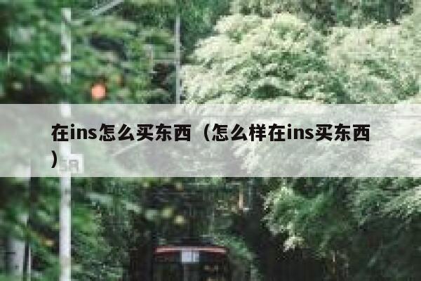 在ins怎么买东西（怎么样在ins买东西） 第1张