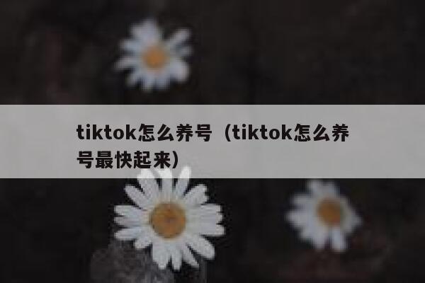tiktok怎么养号（tiktok怎么养号最快起来） 第1张