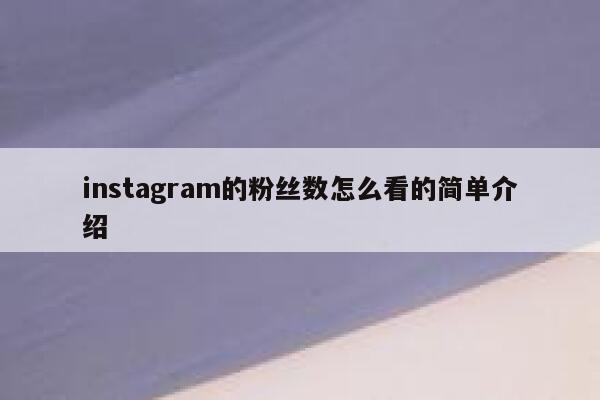 instagram的粉丝数怎么看的简单介绍 第1张