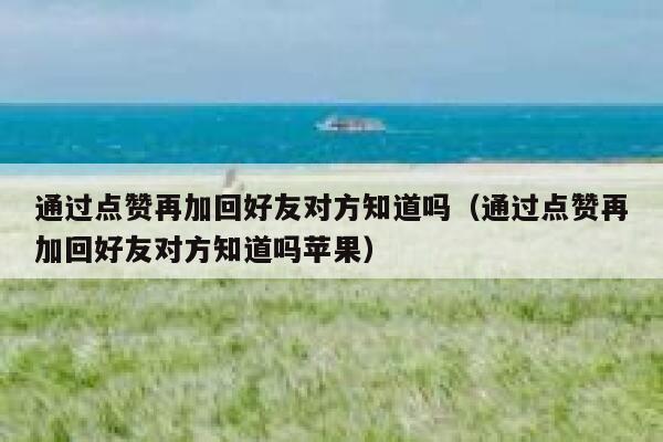 通过点赞再加回好友对方知道吗（通过点赞再加回好友对方知道吗苹果） 第1张