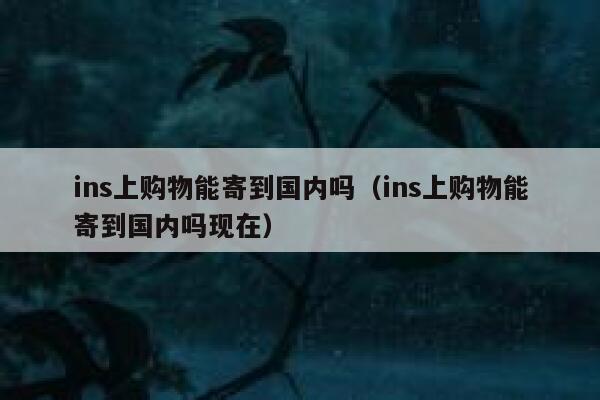 ins上购物能寄到国内吗(ins上购物能寄到国内吗现在) 第1张 ins上购物能寄到国内吗(ins上购物能寄到国内吗现在) 第1张