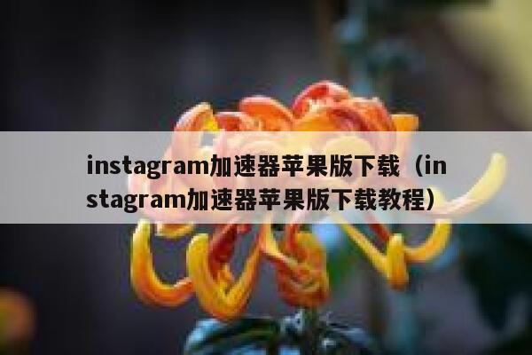 instagram加速器苹果版下载（instagram加速器苹果版下载教程） 第1张
