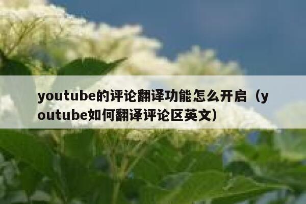 youtube的评论翻译功能怎么开启(youtube如何翻译评论区英文) 第1张 youtube的评论翻译功能怎么开启(youtube如何翻译评论区英文) 第1张