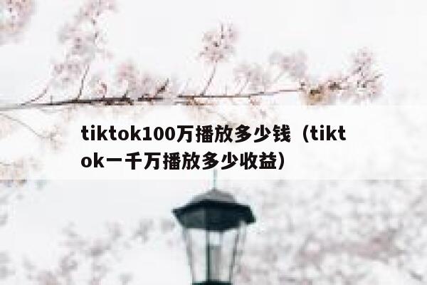 tiktok100万播放多少钱（tiktok一千万播放多少收益） 第1张