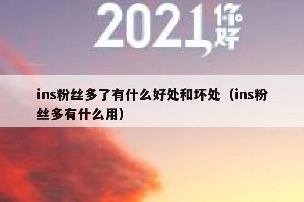 ins粉丝多了有什么好处和坏处（ins粉丝多有什么用） 第1张
