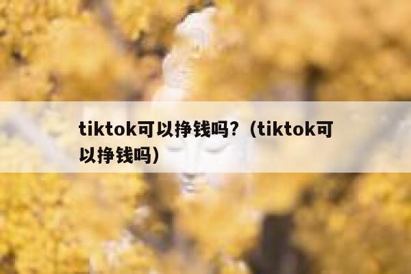 tiktok可以挣钱吗?（tiktok可以挣钱吗） 第1张