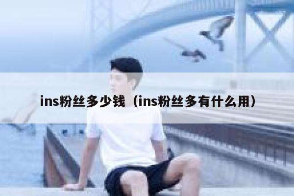 ins粉丝多少钱（ins粉丝多有什么用） 第1张