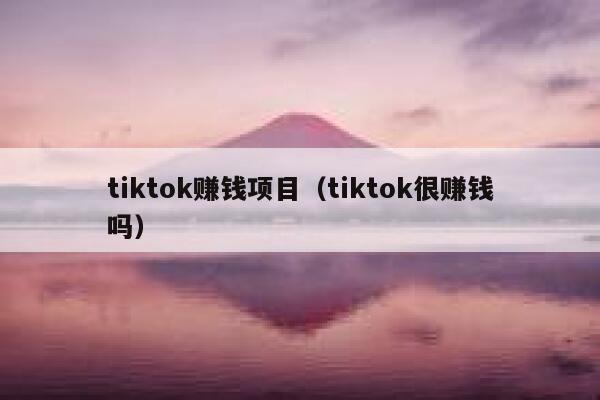 tiktok赚钱项目（tiktok很赚钱吗） 第1张