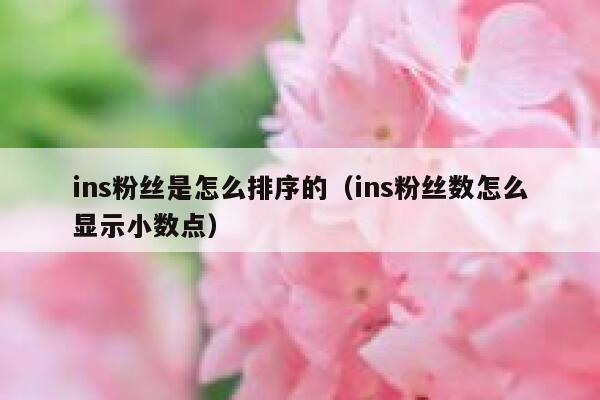 ins粉丝是怎么排序的（ins粉丝数怎么显示小数点） 第1张