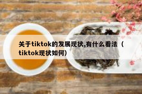 关于tiktok的发展现状,有什么看法（tiktok现状如何） 第1张