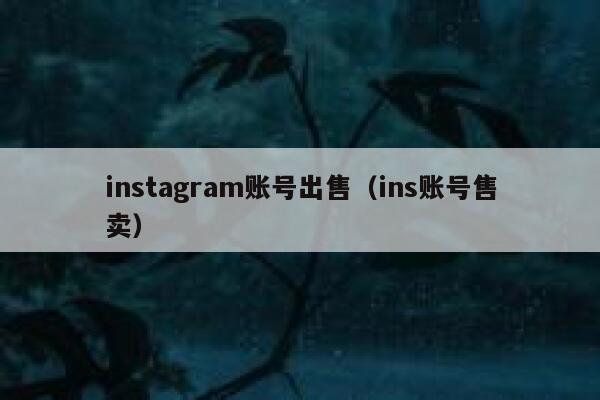 instagram账号出售（ins账号售卖） 第1张