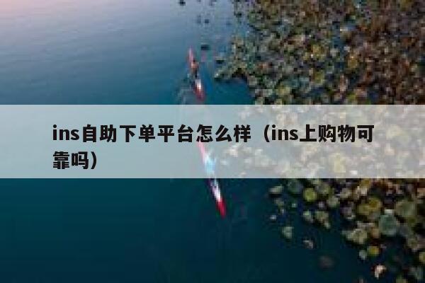 ins自助下单平台怎么样（ins上购物可靠吗） 第1张