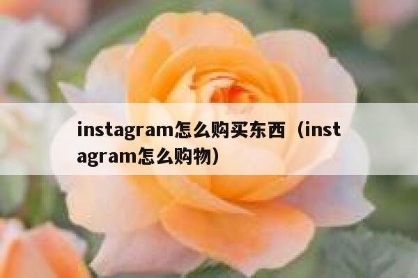instagram怎么购买东西（instagram怎么购物） 第1张