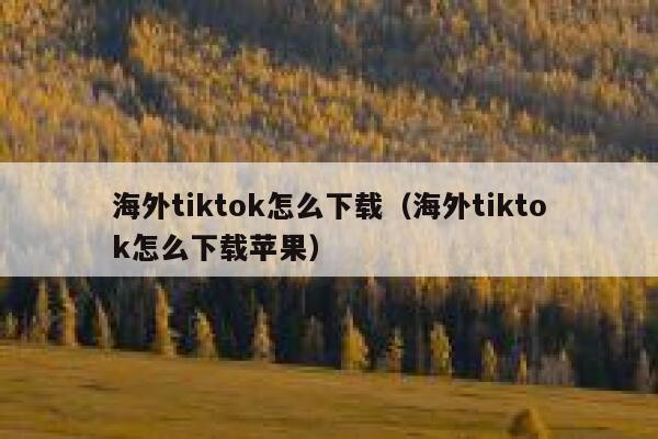 海外tiktok怎么下载（海外tiktok怎么下载苹果） 第1张