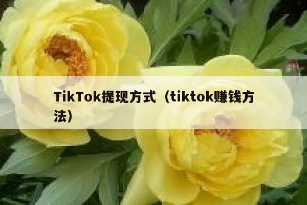 TikTok提现方式（tiktok赚钱方法） 第1张
