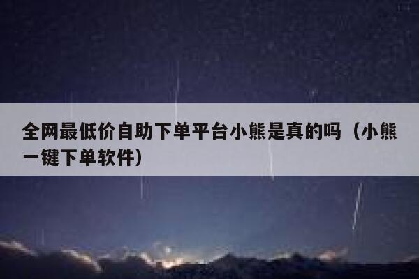 全网最低价自助下单平台小熊是真的吗（小熊一键下单软件） 第1张
