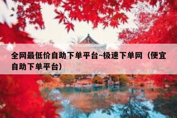 全网最低价自助下单平台~极速下单网（便宜自助下单平台） 第1张