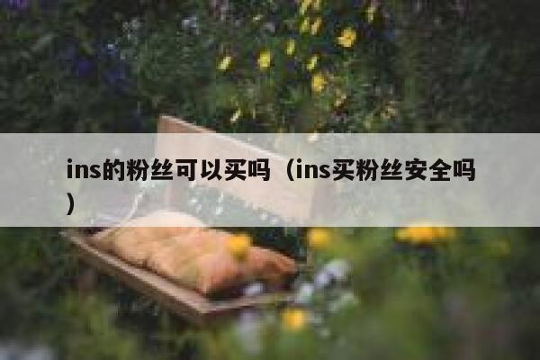 ins的粉丝可以买吗（ins买粉丝安全吗） 第1张